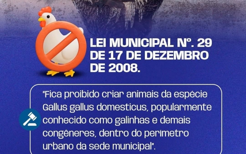Prevenção à Gripe Aviária: Prefeitura Reforça Proibição de Criação de Aves na Cidade