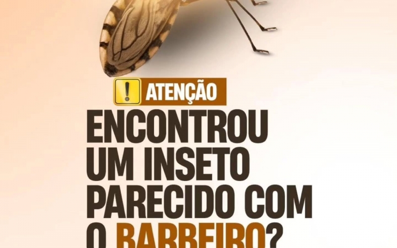 A Doença de Chagas ainda afeta muitos mineiros, especialmente em áreas rurais