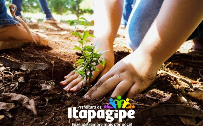  Projeto Reflorestar: Juntos pela recuperação ambiental