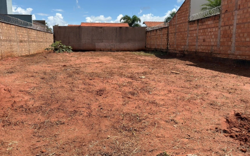 Proprietários iniciam limpeza de terrenos no perímetro urbano