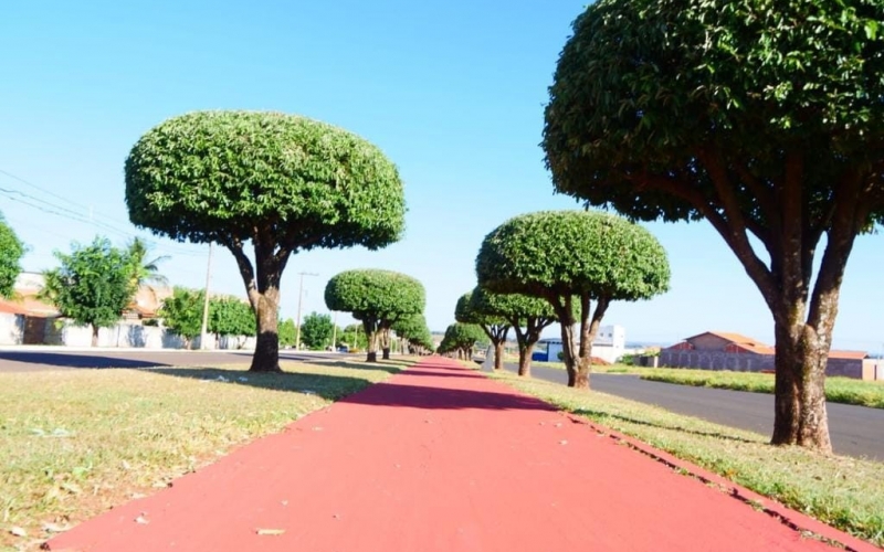 Projeto de Lei disponibiliza caçambas para População de  Baixa Renda