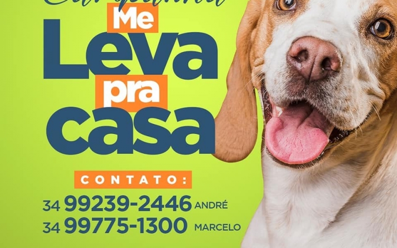 Ei você! Não tá precisando de um amigo de patas na sua vida? 