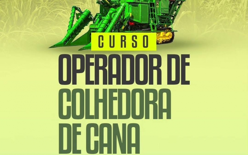 Comece 2024 turbinando seu currículo de trabalho