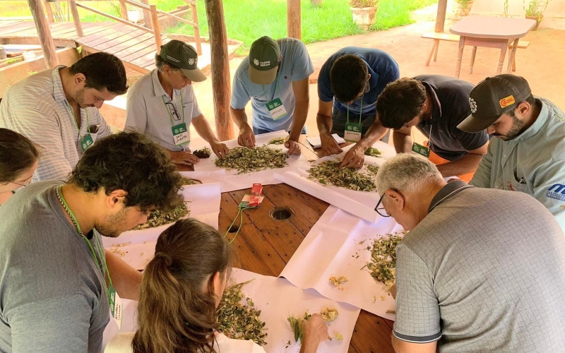 Produtores rurais do município realizam curso de nutrição em vacas leiteiras